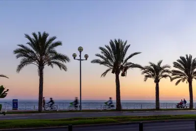 a street with palm trees and people riding bikes at Crisol Promenade in Nice