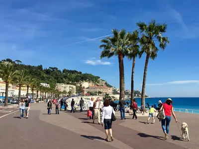 a group of people walking on a beach with a dog at Cosy 2 pieces rénové, Proche mer, 4 pers in Nice