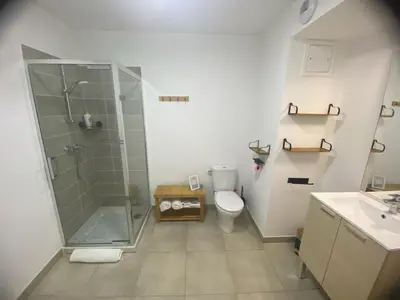 a bathroom with a shower and a toilet and a sink at Chez Candie in La Trinité