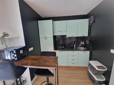 a small kitchen with a table and chairs in a room at Aya's Studio in Nice