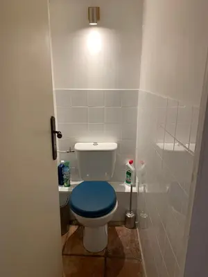 a bathroom with a toilet with a blue seat at Apartment 33 on The Old Historic Senate Square in Nice