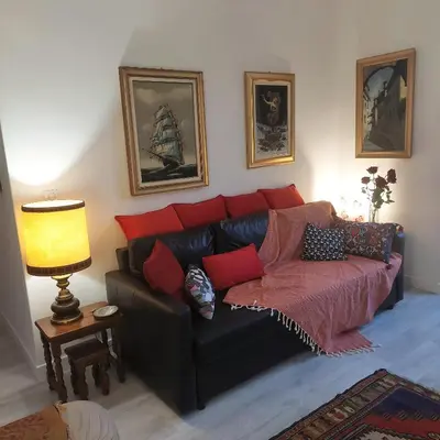 a living room with a black leather couch with red pillows at MAO in Nice