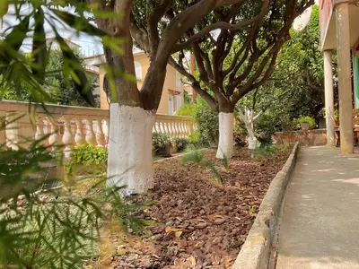 a row of trees in a yard next to a sidewalk at Douceur d'Azur in Nice