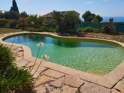 a small swimming pool in the middle of a yard at L'Albizia in Nice
