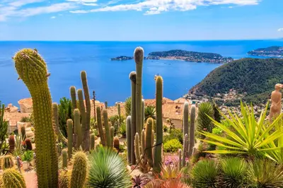 a group of cacti and other plants in front of the ocean at Coeur de La Libé - Ideal couple & FRIENDS - CENTRAL & COSY - TRAM & Supermarkets -AC -Bed XXL in Nice