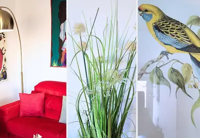 a room with a bird and a red couch at Nestor&Jeeves - LA NISSARDE TERRASSE - City center in Nice