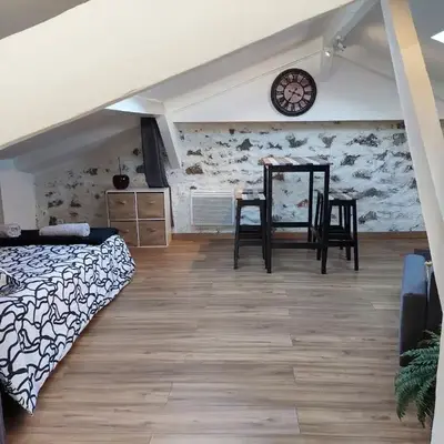 Loft Cosy NICE centre ville