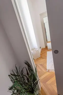 a hallway with a potted plant in a room at Elegant T2 rénové 4 Pers, Centre Nice, Climatisé in Nice