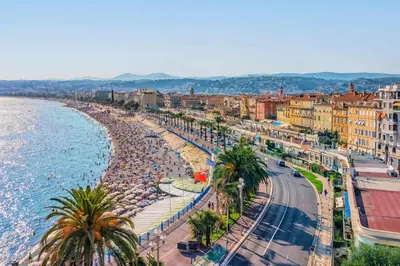 an aerial view of a beach with palm trees and buildings at Studio Centre Ville proche TRAM & Port, Wifi Gratuit in Nice