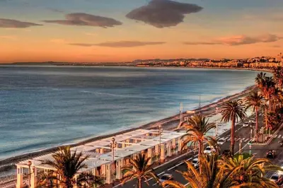 a view of a beach with palm trees and the ocean at Studio de charme hyper centre in Nice
