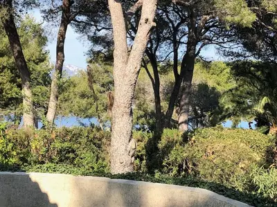 a tree on the side of a road at Villa de Charme au coeur du Cap-Ferrat in Saint-Jean-Cap-Ferrat