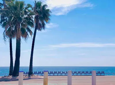 two palm trees on a beach near the ocean at #30 Old Town, Castle panoramic View / Terrace & AC in Nice