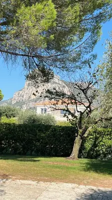 a tree in front of a house with a mountain in the background at Magnifique Villa Moderne Avec Piscine in La Gaude