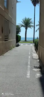 an empty street with palm trees and the ocean at Bel appartement - plage à 50 m in Nice