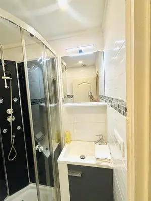 a bathroom with a sink and a shower at Berlioz TERRASSE in Nice