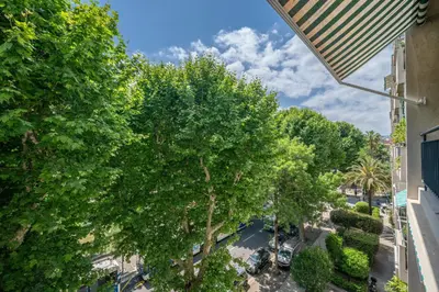 an overhead view of a tree in a parking lot at Luxueux, spacieux et tout équipé à 5 min du port in Nice