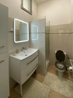 a bathroom with a toilet and a sink and a mirror at Villa Serenice - F2 au calme, climatisé, WIFI et parking gratuit in Nice