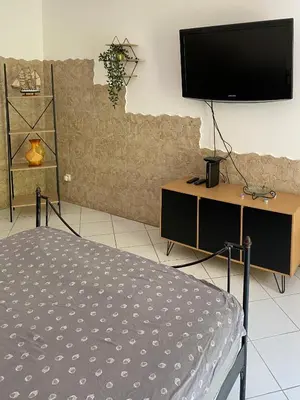 a bedroom with a bed and a flat screen tv at Villa Serenice - F2 au calme, climatisé, WIFI et parking gratuit in Nice