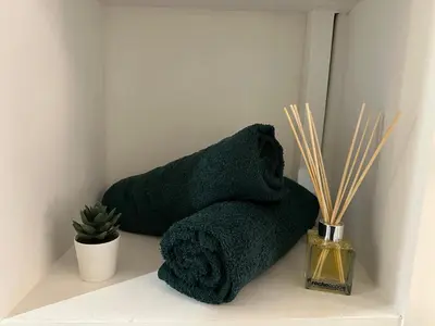 two green towels sitting on a shelf with a plant at Studio Cosy à Nice Centre in Nice