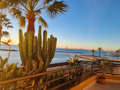 a view of the beach from a balcony with a cactus at Azur & Chill - à proximité Mer Train Bus Aéroport in Saint-Laurent-du-Var