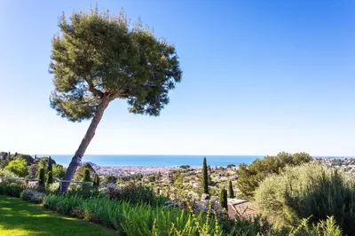 a tree in a garden with the city in the background at VILLA ADRIANA VI4411 By Riviera Holiday Homes in Nice