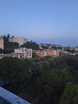 a view of a city with trees and buildings at La bella vista in Nice