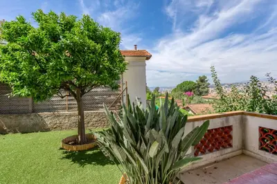 a tree in the yard of a house at #54 Sea view Villa 4 BDR AC 5mins to Port BBQ in Nice