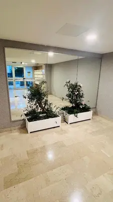 three potted plants in a room with a mirror at Super logement - Mer à 5 min à pieds ! in Nice