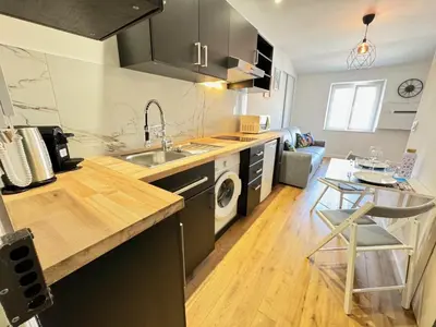a kitchen with a sink and a dishwasher at APartHotel Riviera - COCON DE LA LIBERTE - Grimaldi - Promenade des Anglais in Nice