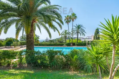 a palm tree in front of a swimming pool at Nice Absea Fabron 2 in Nice