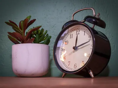 an alarm clock sitting next to a potted plant at Pause et Sérénité Studio de 28m2 in Cagnes-sur-Mer