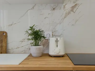a plant sitting on a table next to a toaster at Central Studio - Bright & Modern - Private Terrace - AirCon - Near Train & Beach in Nice