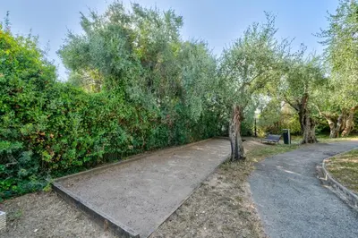 a park path with a tree and a bench at Superbe 2 pièces Clim et Parking in Nice