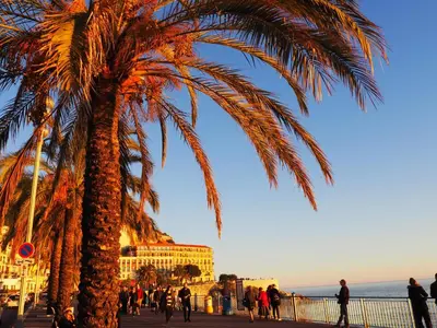 a palm tree and people walking on the beach at Appartement proche de Libération avec balcon ensoleillé in Nice
