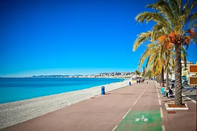 a beach with palm trees next to the water at Appt Nice-Centre avec Parking Privé proche Promenade des Anglais in Nice