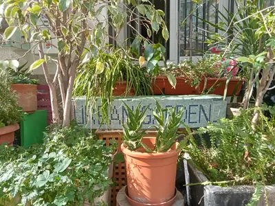 a bunch of plants in pots in a garden at Un jardin en Ville in Nice