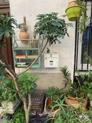 a garden with potted plants on a wall at Un jardin en Ville in Nice