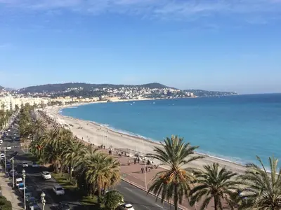 a view of a beach with palm trees and the ocean at Nice Halevy in Nice