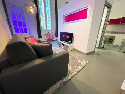 a living room with a couch and a tv at Cosy appartement, moderne, fuchsia, industriel in Nice
