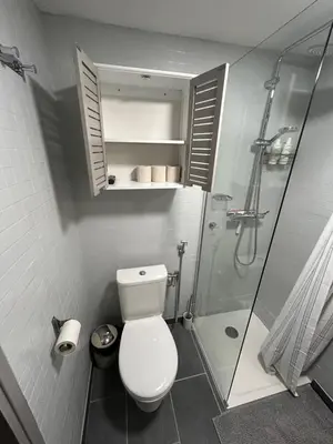 a bathroom with a toilet and a shower at Studio climatisé avec terrasse ombragée dans maison au calme et dans la verdure in Nice
