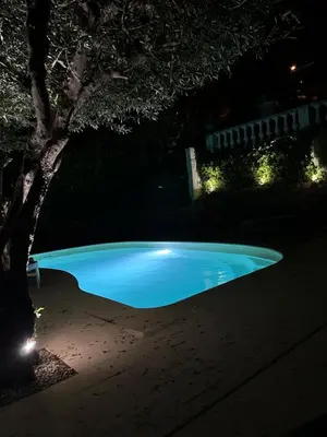 a swimming pool at night with a tree and lights at L'olivier in Gattières