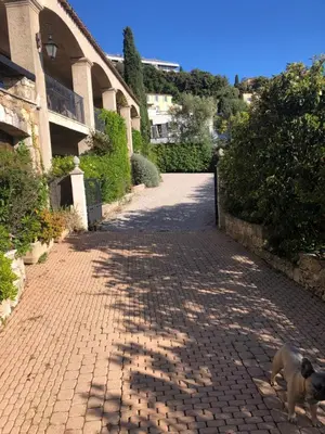 a dog walking down a brick road in front of a building at Villa loucisa Nice piscine vue mer 8 chambres 24 couchages in Nice