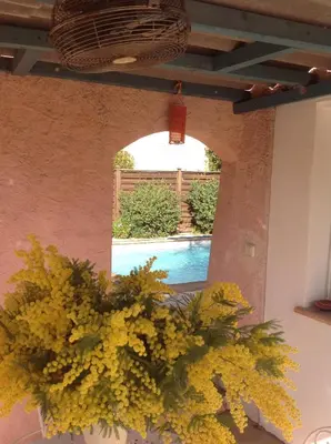 a vase of yellow flowers in a room with a pool at Rez de Jardin Villa Cagnes Sur Mer. in Cagnes-sur-Mer