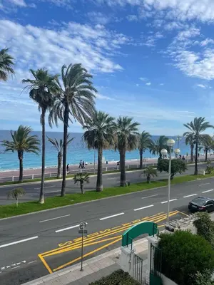 a street with palm trees on the beach at Nice Promenade des Anglais Your Seafront Flat in Nice