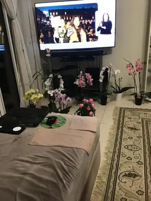 a living room with a tv and a bed with flowers at Nice port quartier antiquaire in Nice