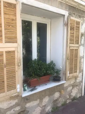 a window with two plants on a window sill at Villa Mon Rêve Apartements in Nice