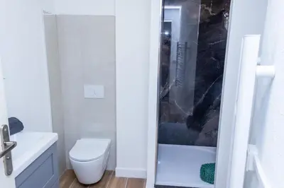a white bathroom with a toilet and a shower at NIce proche mer in Nice