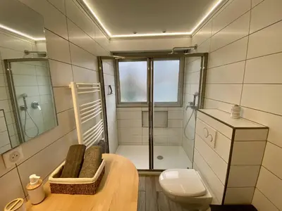 a bathroom with a toilet and a shower at F1 Saint Laurent du Var Proximity to beach-Clim Wifi in Saint-Laurent-du-Var