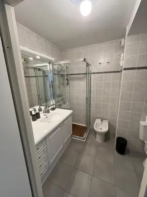 a bathroom with a sink and a shower and a toilet at Nice Massena 2 rooms in Nice
