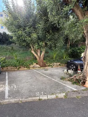 a car parked in a parking lot next to a tree at Cozy Appartement close to Port of Nice in Nice